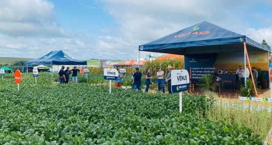 Van Ass Sementes presente na ExpoAgro Cotricampo em Campo Novo