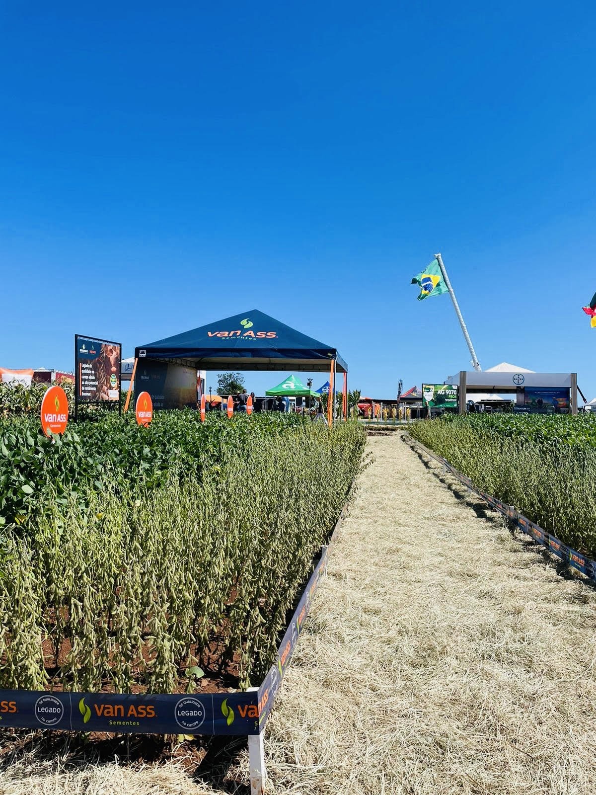 8ª ExpoAgro Cotricampo: Van Ass Sementes presente como um dos expositores da feira em Campo Novo/RS