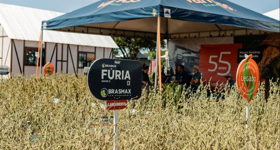 Van Ass na 22ª Expoagro Afubra