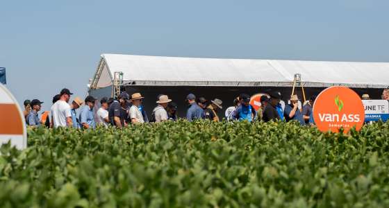 Avanseed destaca inovação em genética de soja para safra 26/27