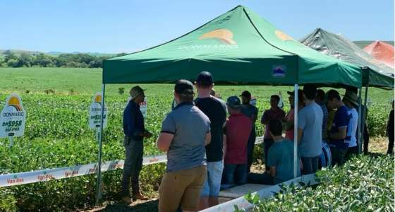 Van Ass sementes participa de Dia de Campo da Multirural