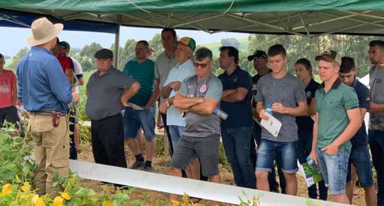 Apresentação de cultivares no Dia de Campo Agro Colheita