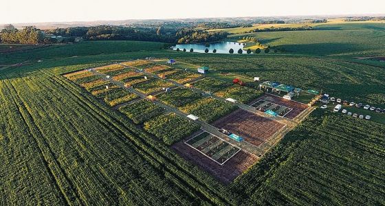 Encontro Tecnológico Van Ass Sementes: 50 anos de história e inovações para o produtor rural