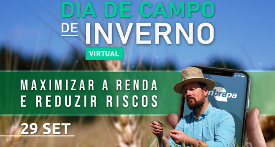 Dia de Campo de Inverno Virtual Embrapa