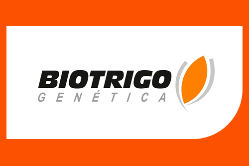 TBIO MOTRIZ