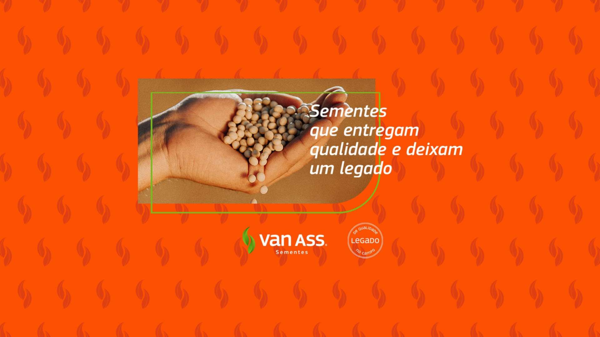 Van Ass Sementes